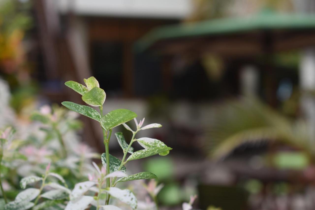 Hotel San Vicente Galapagos Пуерто-Вільяміль Екстер'єр фото